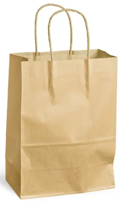 Image de PACK'N POST 30108497 Sac de transport - 180 x 80 x 240 mm, 300 pièces, brun
