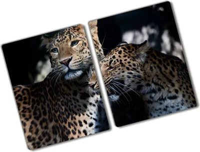 Produktbild von Tulup Glas Herdabdeckplatte - 2x40x52 cm - Glaskeramikkochfeld-Abdeckung Spritzschutz Glasabdeckplatte Kochplattenabdeckung und Schneidebrett - Zweiteilig - Tiere - Zwei Leoparden - Braun
