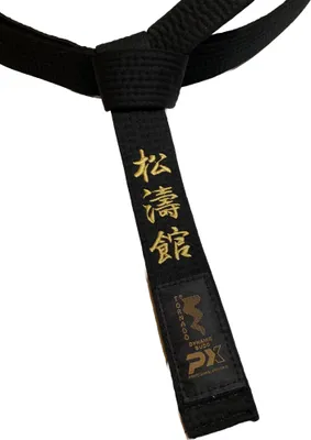 Produktbild von TEKKA BUDO Karategürtel schwarz - Bestickt - Shotokan - 330 cm - Schriftzeichen Bestickung gold - Schwarzgurt Kanji japanisch - Schwarzer Gürtel