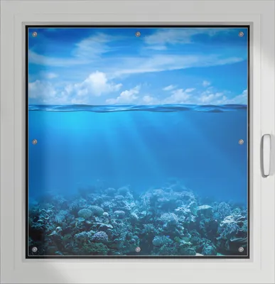 Produktbild von Wallario Lichtschutzbild, Dekorativer Sichtschutz Sonnenschutz 96 x 100 cm mit Motiv: Unterwasserwelt Meer - Verdunklung ohne Bohren