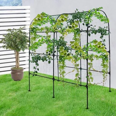Obrázek produktu pro Ocelová pergola, odolná proti korozi – vysoká stabilita, konstrukce pro popínavé rostliny – 116x35x9 cm – kov