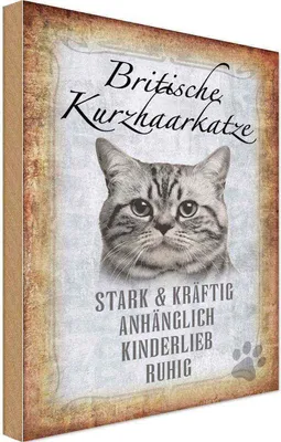 Produktbild von vianmo Holzschild 18x12 cm britische kurzhaarkatze Tier Haustier