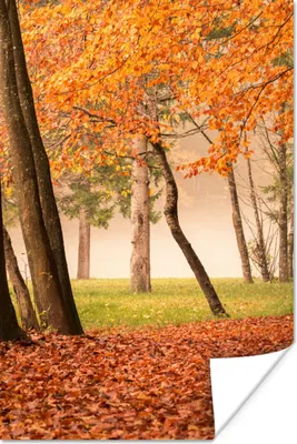 Produktbild von MuchoWow® Poster Blätter - Herbst - Wald 20x30 cm - Papierdruck