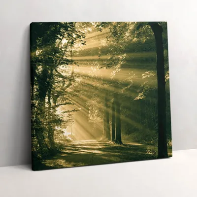 Produktbild von Sun rays in the forest – Leinwandbild Wandbild – 60x60 cm – Leinwandbilder – Wandbilder – Schlafzimmer – Flur