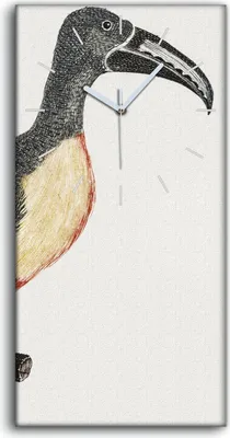 Produktbild von Leinwand Uhr Küche Wohnzimmer Bild 30x60 Zeichnung Tier Vogel Zweig Kunst - weiße Hände