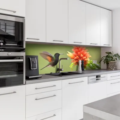 Produktbild von Dedeco Küchenrückwand Motiv: Tierwelt V1, 5mm Hartschaum Kunststoffplatte PVC als Spritzschutz Küchenwand Wandschutz wasserfest, inkl. UV-Lack matt, alle Untergründe, 240 x 60 cm