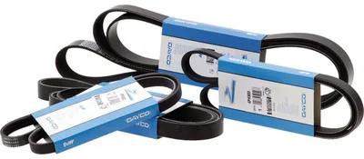 Immagine prodotto di DAYCO cinghia multirighe 8PK2170HD