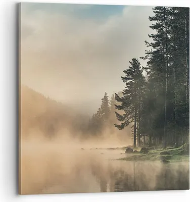 Produktbild von Bild auf Leinwand - Leinwandbild - Einteilig - Nebel See Wald - 70x70cm - Wand Bild - Wanddeko - Wandbilder - Leinwanddruck - Bilder - Wanddekoration - Leinwand bilder - Wandbild - AC70x70-4440