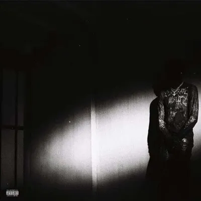 Obrázok produktu pre Destroy Lonely - No Stylist (LP)