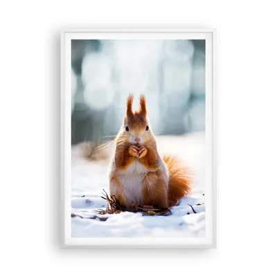 Produktbild von Gerahmtes Poster - Weißer Rahmen - Eichhörnchen Winter Schnee Essen - 70x100 cm - Wand Bild - Wanddeko - Wandbilder - Wandposter - Bilderrahmen - Bilder - Kunstdruck - Wandbild - P2WPA70x100-2798