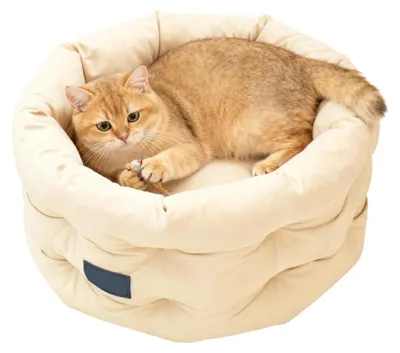 Immagine prodotto di Cuccia per gatti lavabile con bordo rialzato