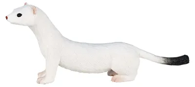 Immagine prodotto di Mojo Wildlife Hermelijn Bianco 387164