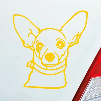 Produktbild von Auto Aufkleber Chihuahua Hund Dog Animal Tier Car 10x10 cm Gelb Sticker Heckscheibenaufkleber