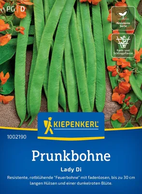 Produktbild von Kiepenkerl Prunkbohnensamen Lady Di Phaseolus coccineus 8-10 Stangen