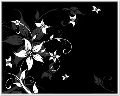 Produktbild von Wallario Wandbild Blumenranke in Schwarz-Weiß, Größe: 40,30 x 50,30 cm, Poster mit weißem Aluminiumrahmen