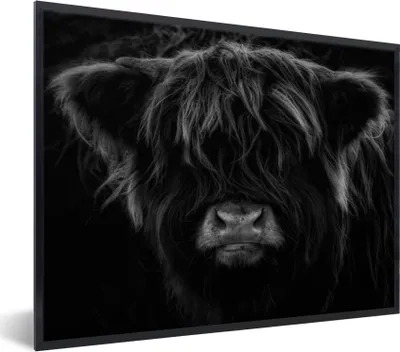 Produktbild von MuchoWow® Gerahmtes Poster Schottischer Highlander - Kuh - Porträt - Tiere - Schwarz - Weiß 80x60 cm - Poster mit Schwarzem Bilderrahmen Wandposter Rahmen Foto Bilder - Schwarzem - Mit Gestell