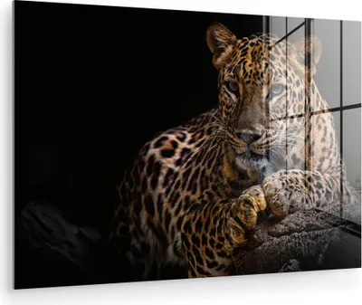 Produktbild von MuchoWow Glasbilder - Bilder auf Wandbild - Foto auf Glas Wildtiere - Panther - Porträt - Schwarz - Tiere 120x80 cm Wanddekoration aus Glas - Acrylglasbild - Acrylbilder - Abbildung