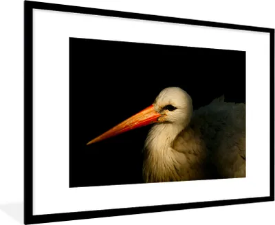 Produktbild von MuchoWow® MuchoWow® Gerahmtes Poster Vogel - Schnabel - Federn 90x60 cm - Poster mit zchwarzem Bilderrahmen - Wanddekoration - Fotos