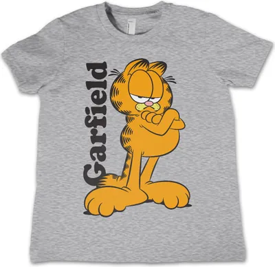 Produktbild von Garfield Kids T-Shirt - 6Years-S - HeatherGrey