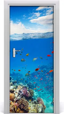 Produktbild von Tulup Türaufkleber 85x205 cm Dekorative Aufkleber Selbstklebend Wasserdichte Tapete Abnehmbar Schlafzimmer Wohnzimmer Wohnkultur - Korallenriff
