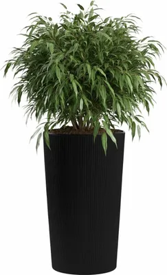 Produktbild von HowHomely | Pflanzkübel - Blumentopf - schwarz - 75x41 cm - Übertopf - Blumenkübel - Rillenstruktur