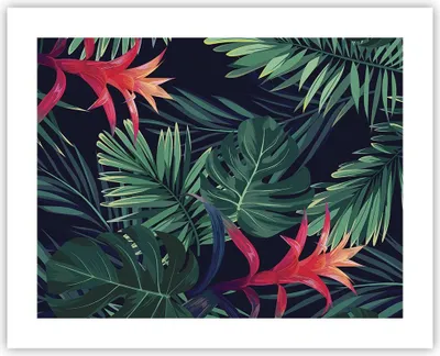 Produktbild von Poster - Poster ohne Rahmen - Exotisch Blumen Blätter - 50x40 cm - Wand Bild - Wanddeko - Wandbilder - Kunstposter - Wandposter - Bilder - Kunstdruck - Wanddekoration - Wandbild - P2XAA50x40-4308