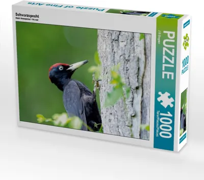 Produktbild von Calvendo Schwarzspecht 1000 Teile Puzzle quer 640x480mm, R Bogner J; 7343654