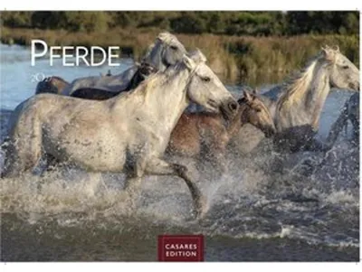 Image de Calendrier des chevaux 2027 - Calendrier mural | Calendrier photo « Animaux » 35 x 50 cm avec 12 magnifiques photos de ces animaux majestueux
