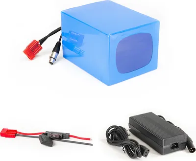 A collage of images showing a blue lithium-ion battery pack and its accessories, including a charger and a fuse.