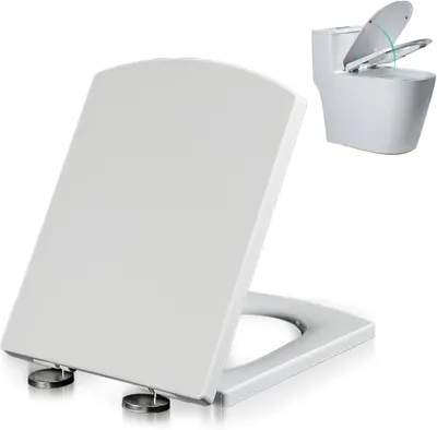A white toilet seat is shown in the foreground, with a smaller image of a toilet in the background.