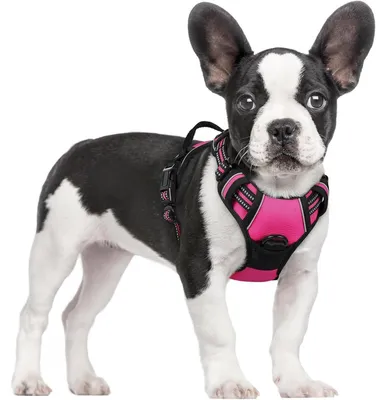 Image de Harnais pour chien anti-traction, réglable, respirant, réfléchissant, rose