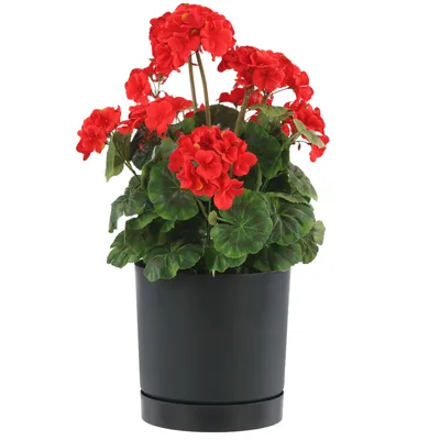 Immagine prodotto di Vaso da fiori con piattino Ø39 cm Altezza 37,5 cm Rotondo Opaco Moderno Liscio Alla moda Colore Antracite - decorazione d'interni elegante e durevole Alloggiamento
