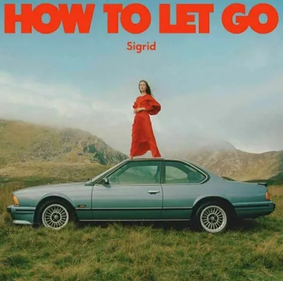 Obrázek produktu pro Sigrid - How To Let Go (LP)