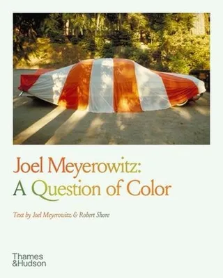 Image de Joel Meyerowitz