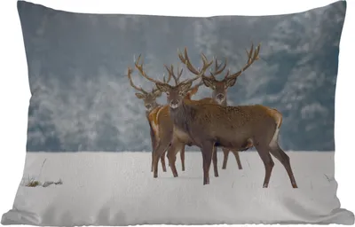 Produktbild von MuchoWow® Outdoor Kissen - Hirsche - Tiere - Schnee - Winter - Landschaft - Natur - 50x30 cm - Wetterfest - Lounge Kissen - Sofa kissen - Wohnzimmer Dekoration