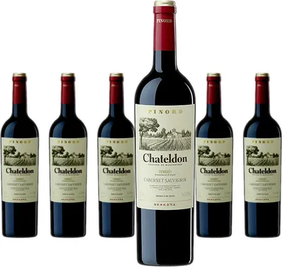Produktbild von 6 x Pinord Chateldon Reserva Cabernet Sauvignon
