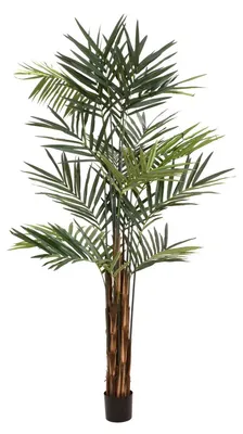 Zdjęcie produktu dla EUROPALMS Kentia palm, sztuczna roślina, 300 cm (82511369)