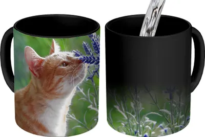 Produktbild von MuchoWow® Zauber Tasse Zaubertasse Magic Katze - Blumen - Lila 350 ml Farbwechsel Becher Geschenk Geschenkidee - Magic-Tasse - Fototasse - Keramiktassen - Bilder - Tasse Kaffee - Getränkbecher - Kaffe