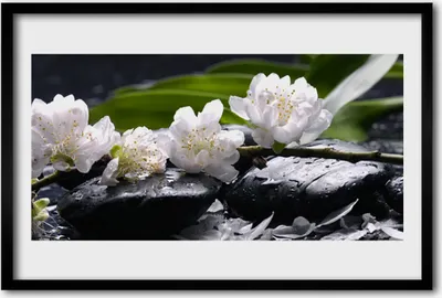 Produktbild von Bild 60x40 MDF-Rahmen Wandkunst Blume Steine