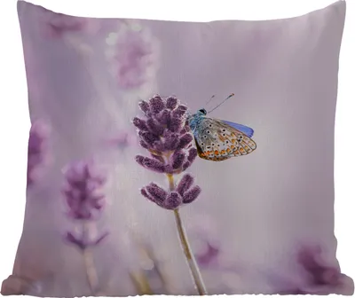 Produktbild von MuchoWow® Outdoor Kissen - Lavendel - Schmetterling - Nahaufnahme - Lila - 40x40 cm - Wetterfest - Lounge Kissen - Kopfkissen - Interieur - Polster mit Bild
