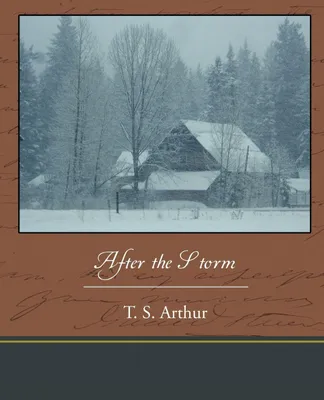 Produktbild von After the Storm