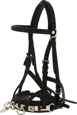 Produktbild von NORTON Arbeitskappzaum breites Kopfstück und Nasenriemen Rindsleder, Farbe:schwarz, Größe:Warmblutgröße