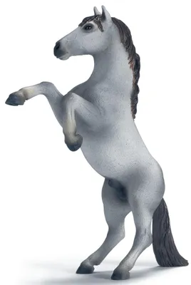 Obrázok produktu pre schleich 13621, 3 rok / roky, Modrá, Plast