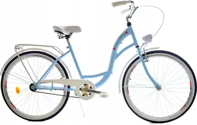Zdjęcie produktu dla Rower Dallas City 26" 1spd - niebieski z białym