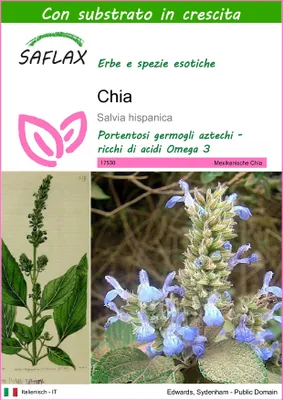 Immagine prodotto di SAFLAX  - Chia - 500 semi - Con substrato - Salvia