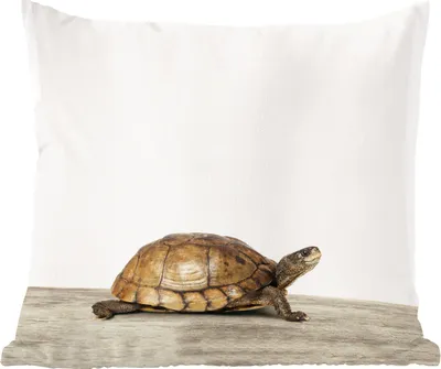 Produktbild von MuchoWow® Zierkissen Sofakissen Wohnzimmer Dekokissen 40x40 cm Tiere - Schildkröte - Weiß - Foto Kissen - Schlafzimmer Dekoration