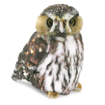 Produktbild von Folkmanis Handpuppe Sperlingskauz 3195 Eule, Uhu, Kauz 20cm