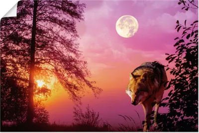 Produktbild von ARTland Poster Wolf im Vollmond Größe: 60x40 cm