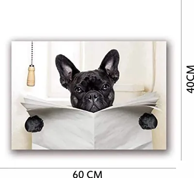Immagine prodotto di Cane che legge i giornali