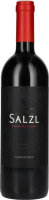 Image de Salzl Pannoterra 2020 14% Vol. 0,75l